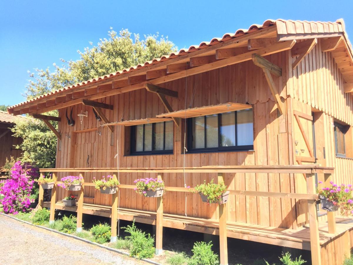Gite De L'Ocean, 3 Etoiles - Les Cabanes Oceanes, Montalivet 방데 몽탈리베 외부 사진